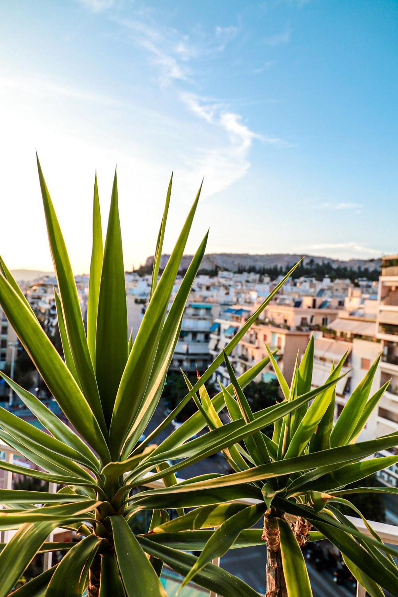 Renovated Apartment With Roof Garden Access, 15 M Walk To Acropolis Aten Exteriör bild
