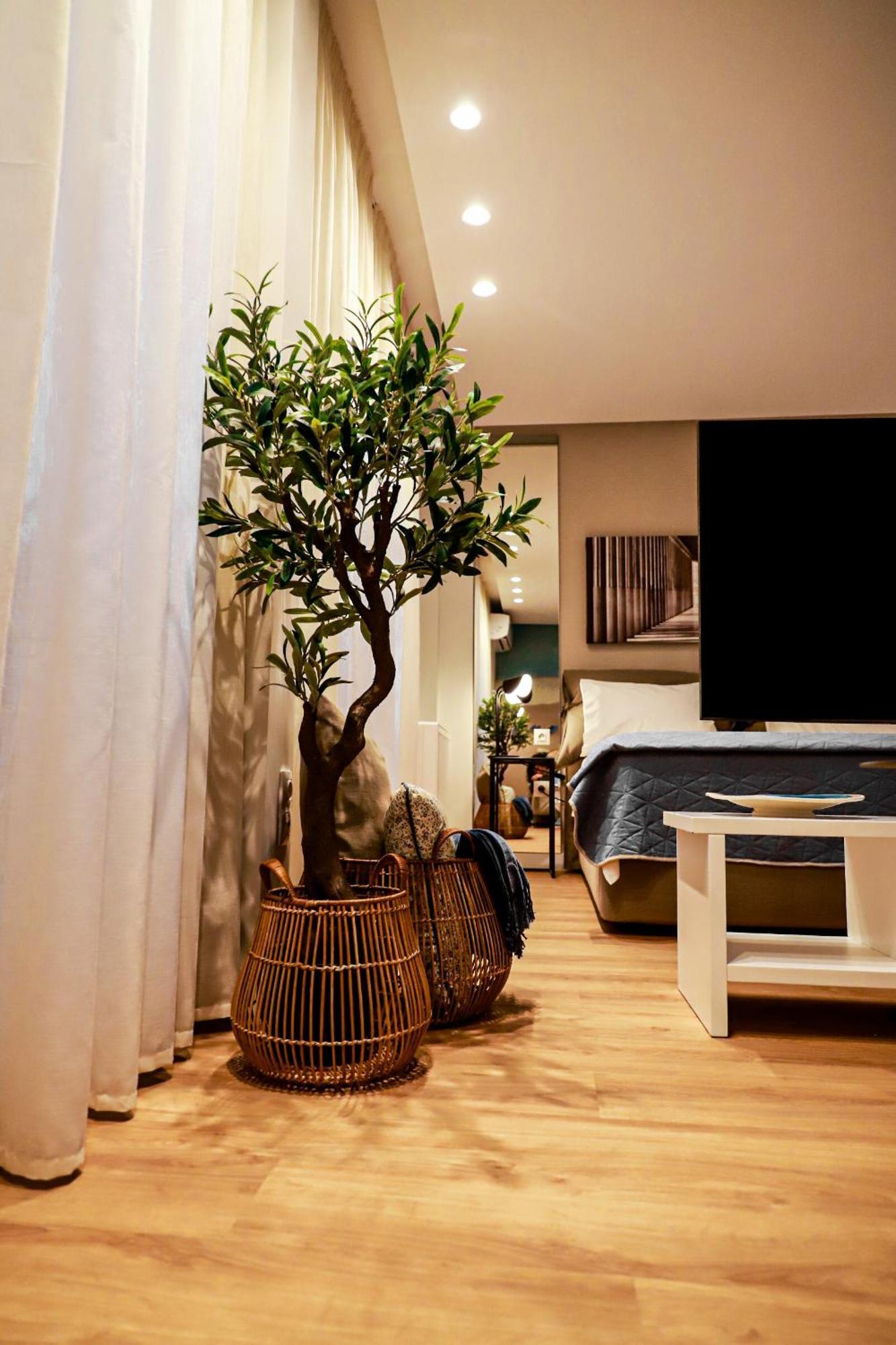 Renovated Apartment With Roof Garden Access, 15 M Walk To Acropolis Aten Exteriör bild